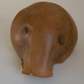 Tête d’éléphant